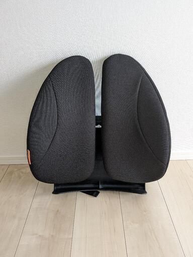 KARADA カラダファクトリー　腰椎サポートクッション　座善　the ZEN