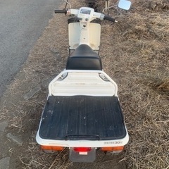 ホンダジャイロUP TA01の画像