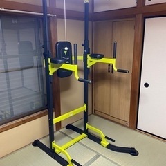 ハイガー　懸垂機　チンニング