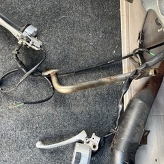 ホンダ　モンキー50cc の画像