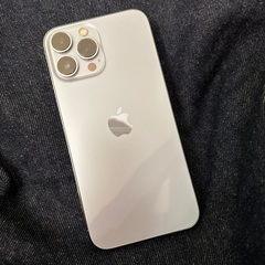 iPhone13ProMax512GB