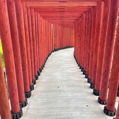 御朱印集めに行きませんかー！？(^^♪