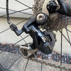 CINELLI EXPERIENCE イタロ\