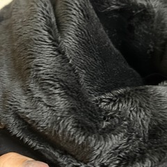 レノマパーカー付きコートの画像