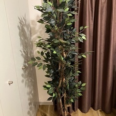 人工観葉植物 フェイクグリーン フィカス