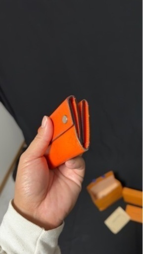 LOUIS VUITTON タイガラマ 限定色