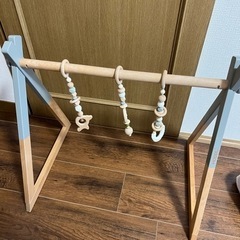 Hoppl ベビージムの画像