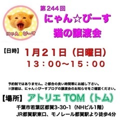 1月21日(日)🌸にゃん☆ぴーす猫の譲渡会🌸「アトリエTOM」J...