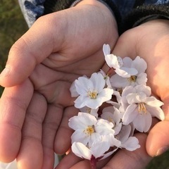 ひとりで悩まないで！子育ての集い〜不登校で悩まれている方へ