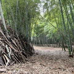 竹林の根っこをクワで耕して畑をつくるの手伝ってください - 綾瀬市