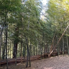竹林の根っこをクワで耕して畑をつくるの手伝ってください - ボランティア