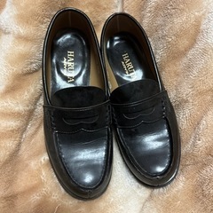 HARUTA ARVINの画像