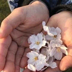 ひとりで頑張ってるお母さんへ〜不登校で悩んでいるお母さんの集い