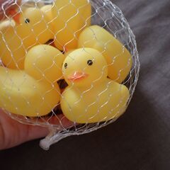 お風呂に浮かべる系のあひるのおもちゃ（5匹入り）の画像