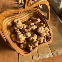 血糖値の急上昇を防ぐ　菊芋　