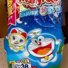 紙おむつ　※開封済み