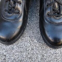 ATENEOセーフティブーツ26.0EEEの画像