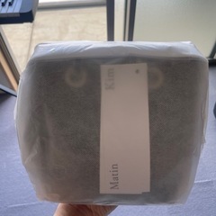 γ200 グルクンガンマカーペンターcarpenter γ BF