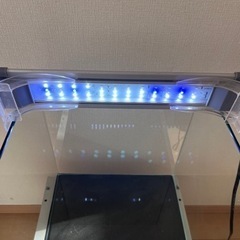 30cmキューブ水槽飼育セットの画像
