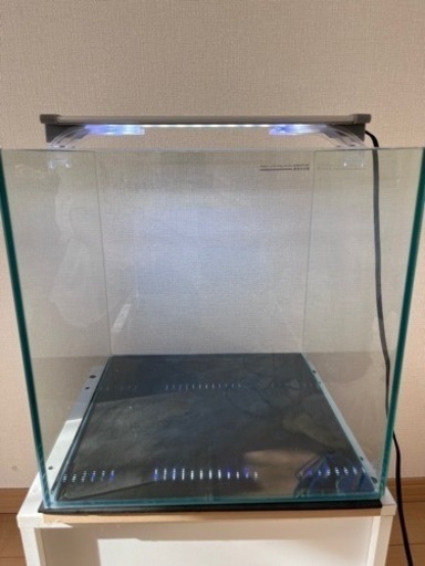 30cmキューブ水槽飼育セット
