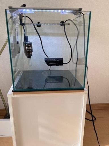30cmキューブ水槽飼育セット