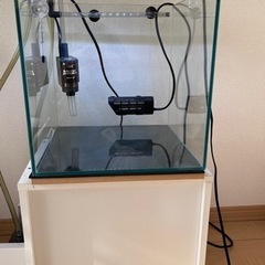 30cmキューブ水槽飼育セットの画像