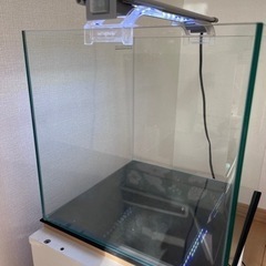 30cmキューブ水槽飼育セットの画像
