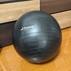 黒のバランスボール