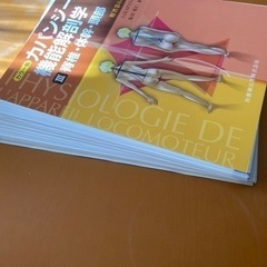 カパンジィ機能解剖学の画像