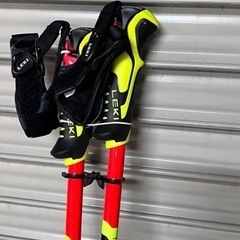 レキ　LEKI   WCR LITE SL 3Dの画像