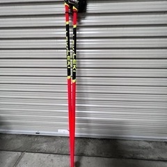 レキ　LEKI   WCR LITE SL 3Dの画像