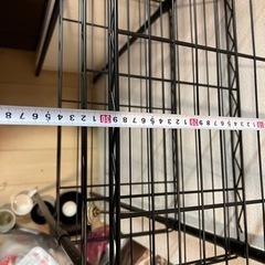 ラックの画像
