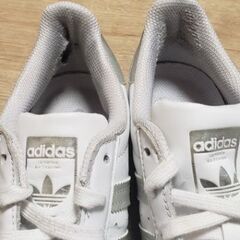 【adidas】 SUPERSTAR スーパースターの画像