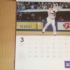ミズノ株主優待2024年カレンダーあげます
