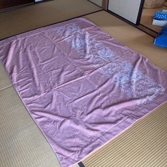 タオルケット　HANAE MORI 2枚