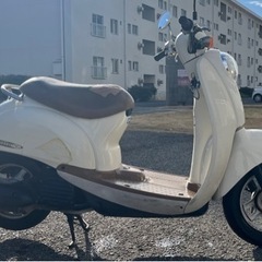 ホンダ　スクーピー　実働