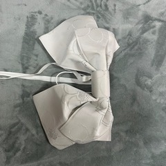 帯その他