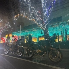 バリオス1型　良好