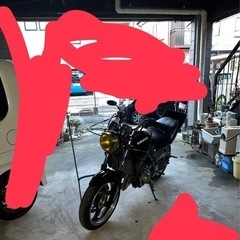 バリオス1型　良好の画像