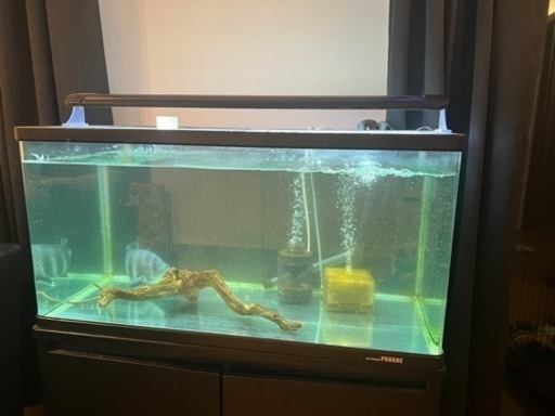 90センチ水槽　4点セット　大型魚