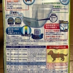 犬　マナーウェアM　男の子用おむつの画像