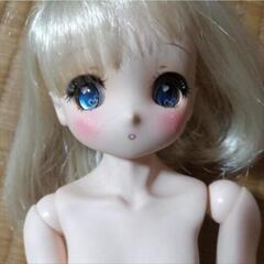 ドルフィードリームの中古が安い！激安で譲ります・無料で