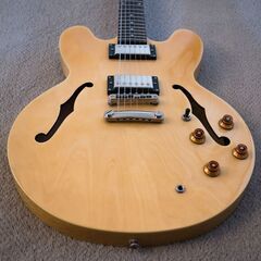 ★↘Epiphone DOT ES-335 セミハードケースの画像