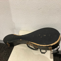 【受け渡し者決定】マンドリン　の画像