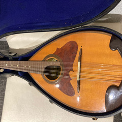 【受け渡し者決定】マンドリン　の画像