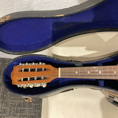 【受け渡し者決定】マンドリン　の画像