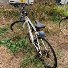 自転車あげます