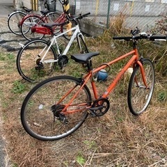 自転車譲ります