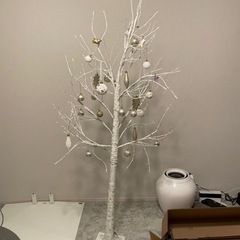 ブランチツリー　光ります^_^の画像