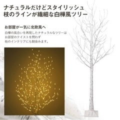 ブランチツリー　光ります^_^の画像